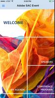 Adobe Strategic Accounts 2016