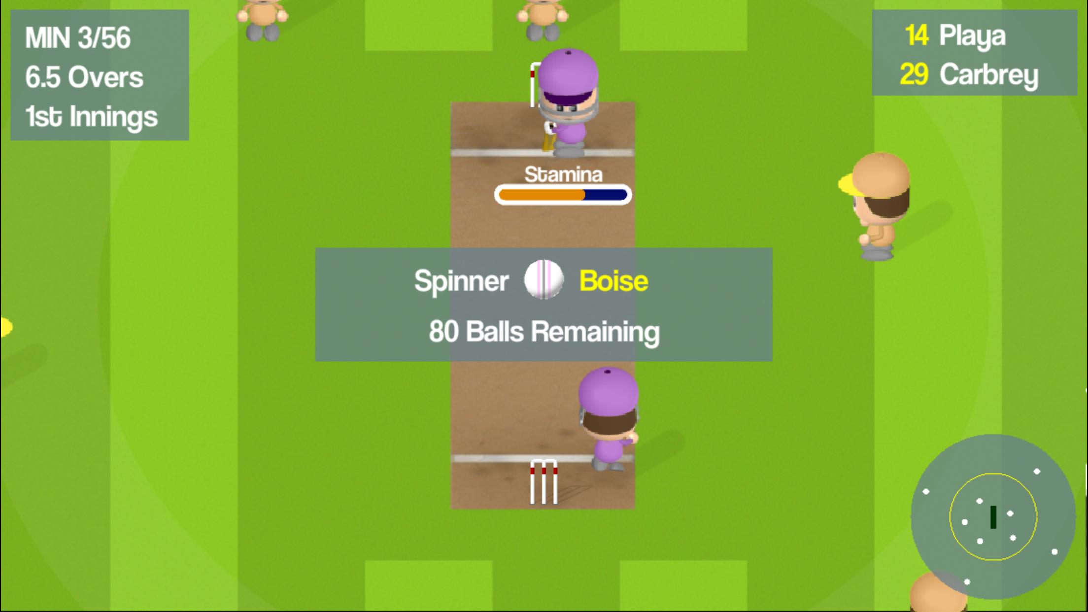 Smashtastic Cricket