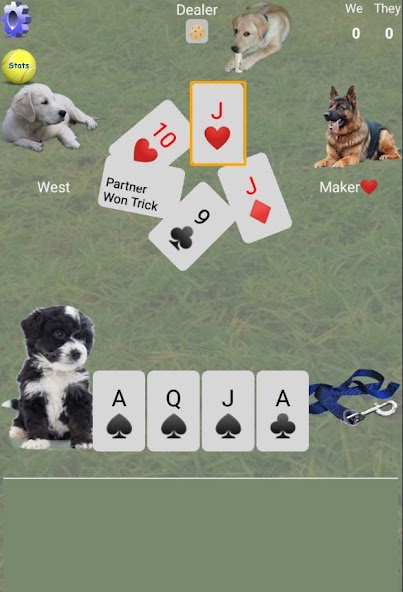K9 Euchre