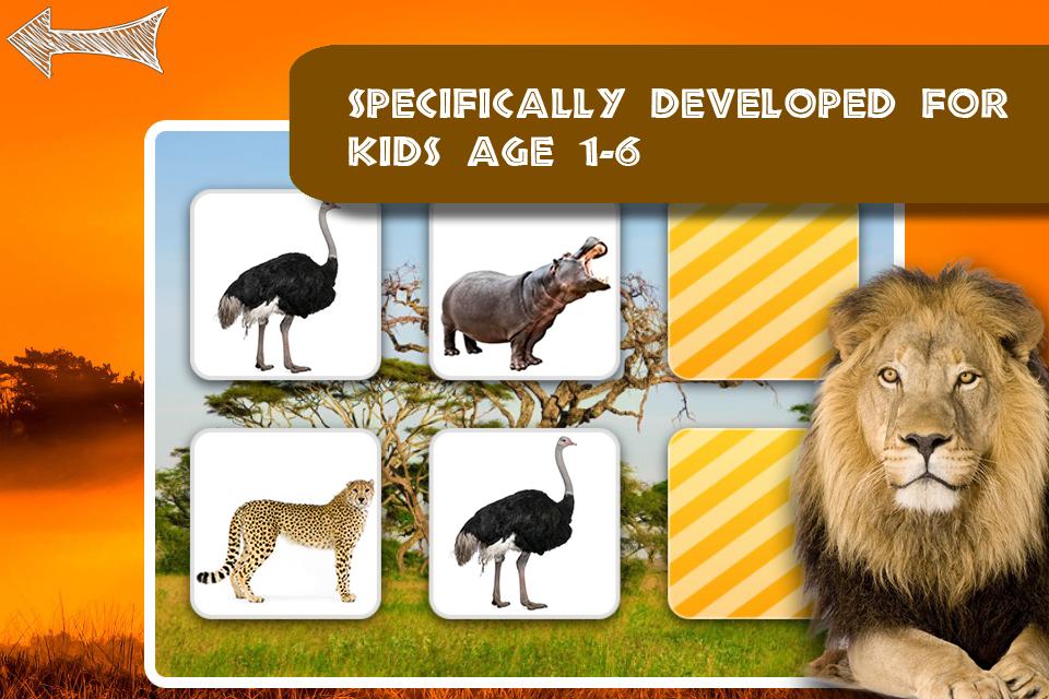 Memo Game Wildlife Photo