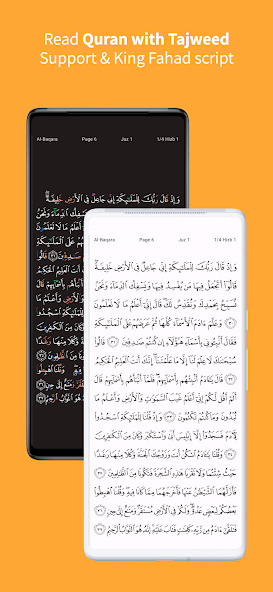 Memorize Quran