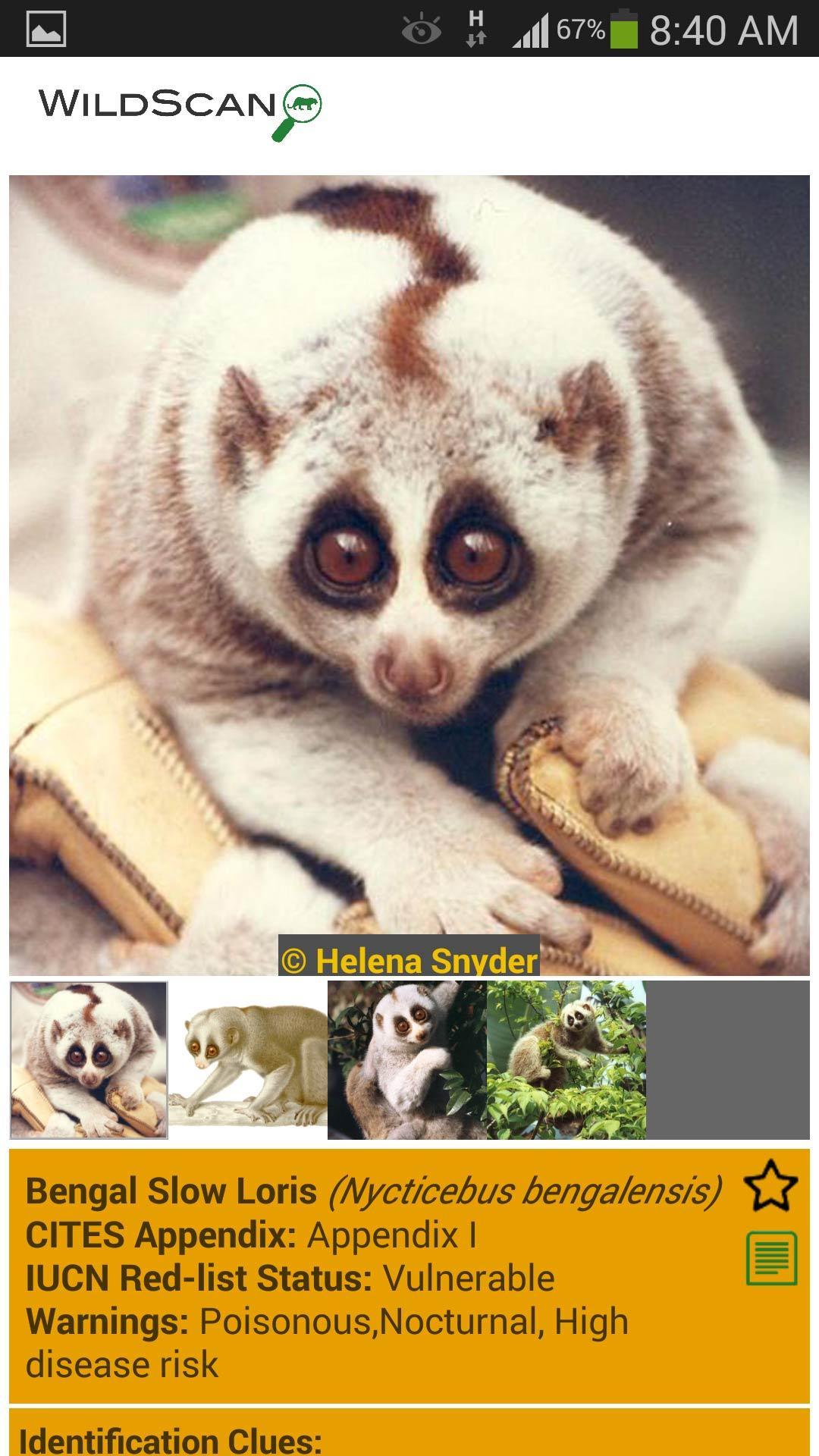 WildScan