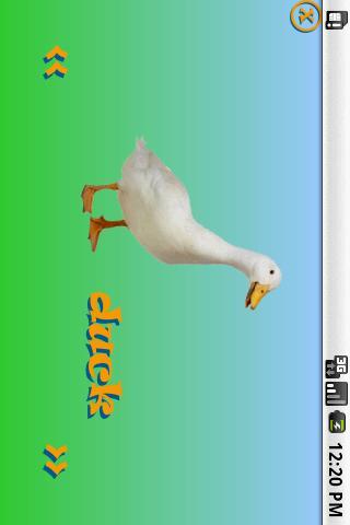 Farmyard ABC