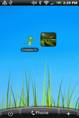 Crickets