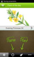 Herbal Guide