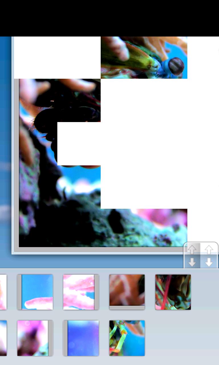 Animated Puzzles