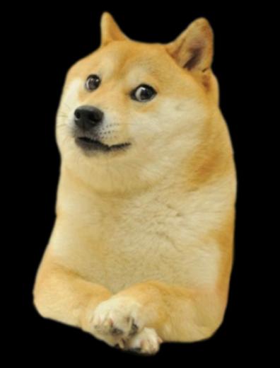 Freak Your Dog Out
