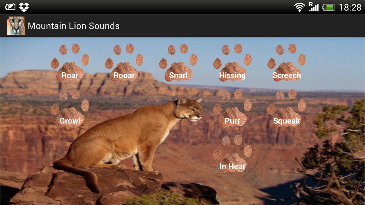 Mountain Lion Sounds