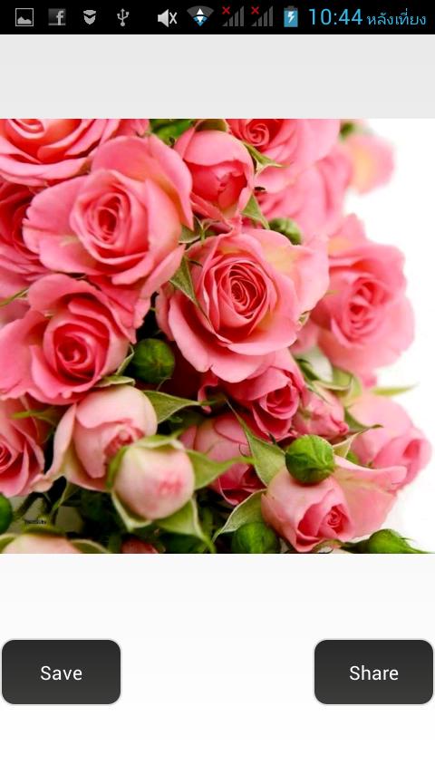 Flower Photo+