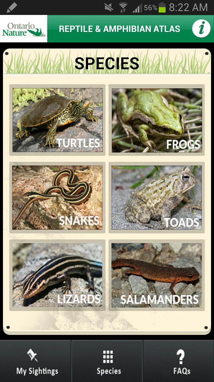 Reptile & Amphibian Atlas