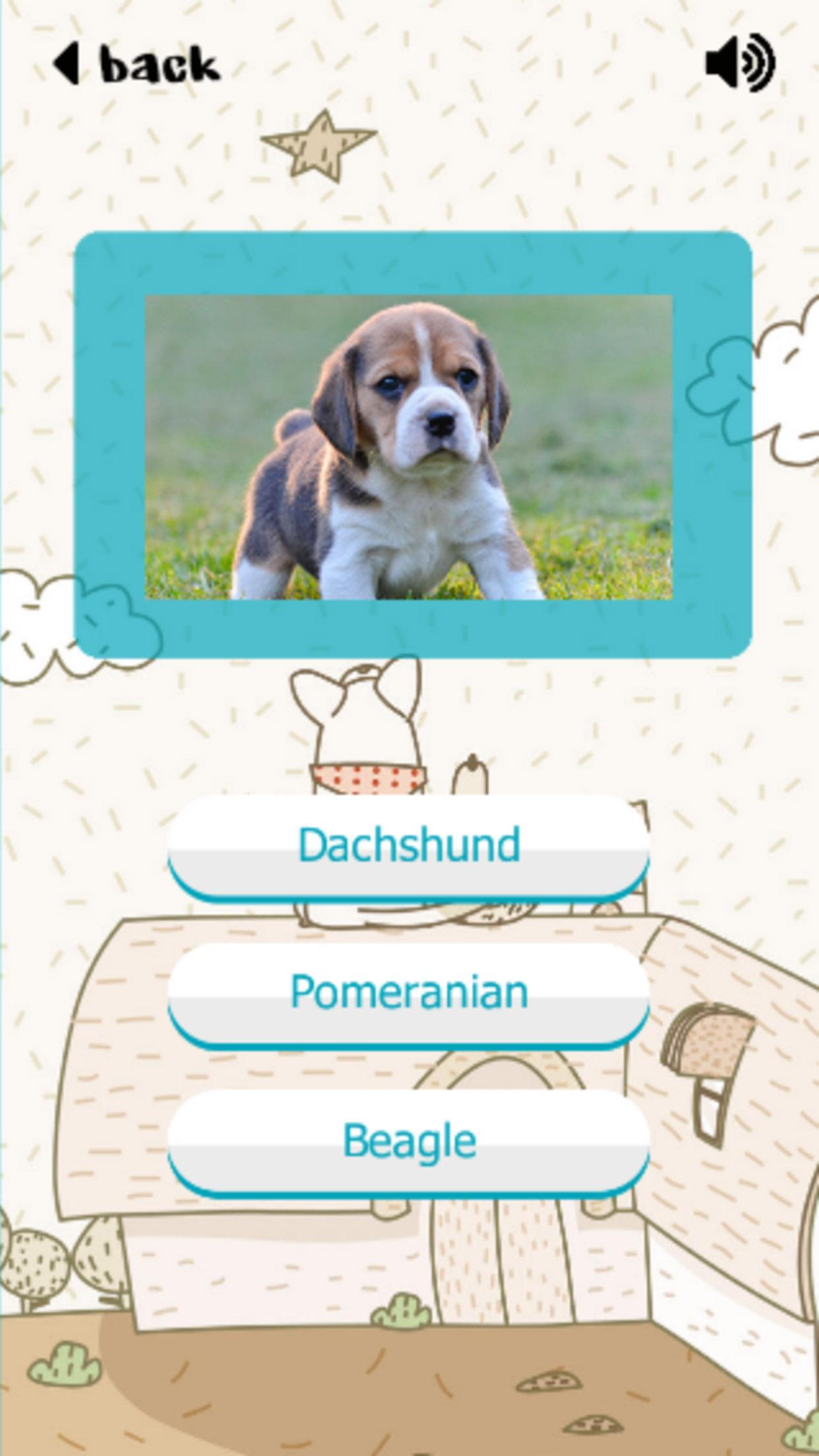 Puppy Dogs Quiz- Guess Popular Breeds