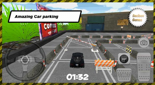 Extreme Luxury Parking