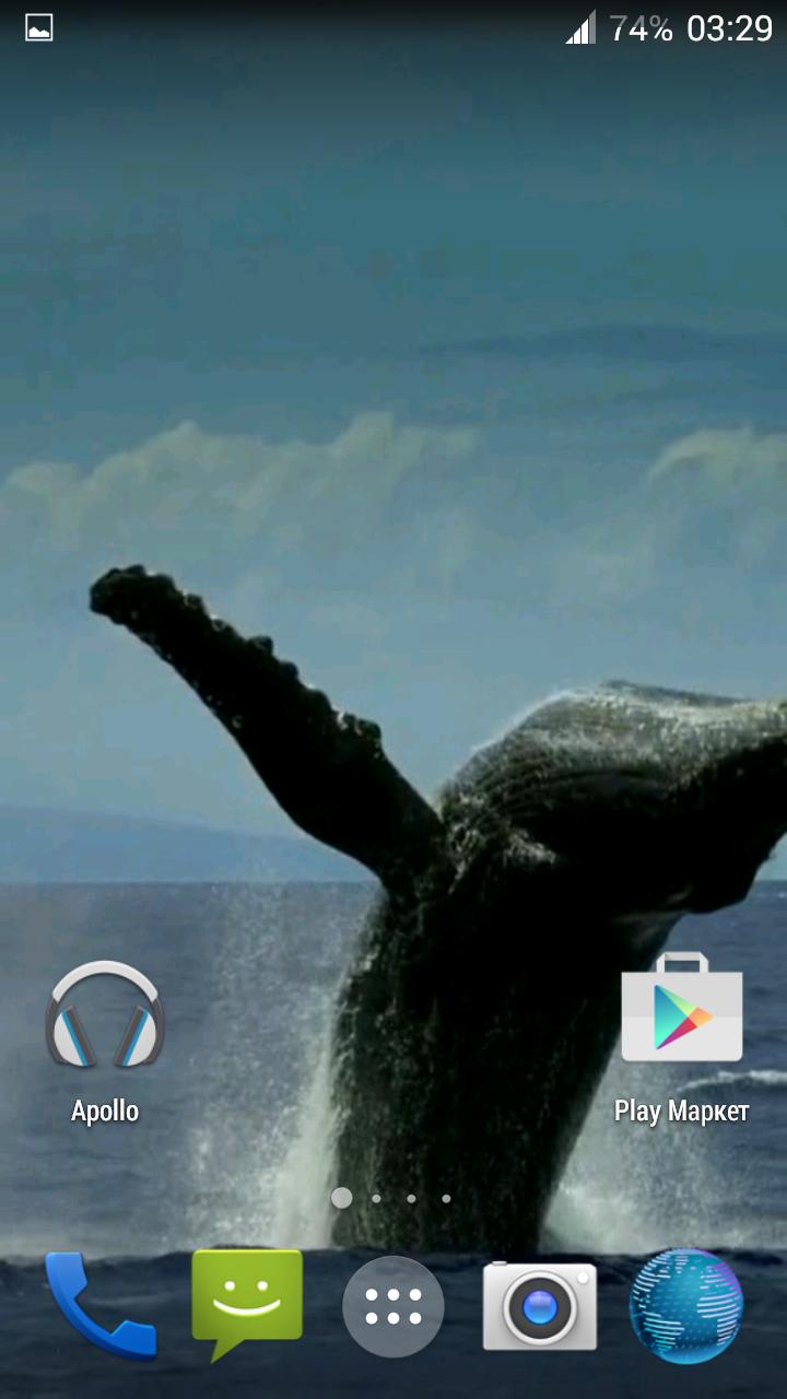 Whale 3D. Video wallpaper