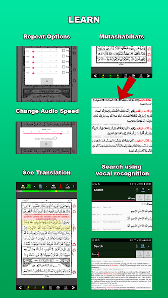 MobileQuran : Quran 13 Lines