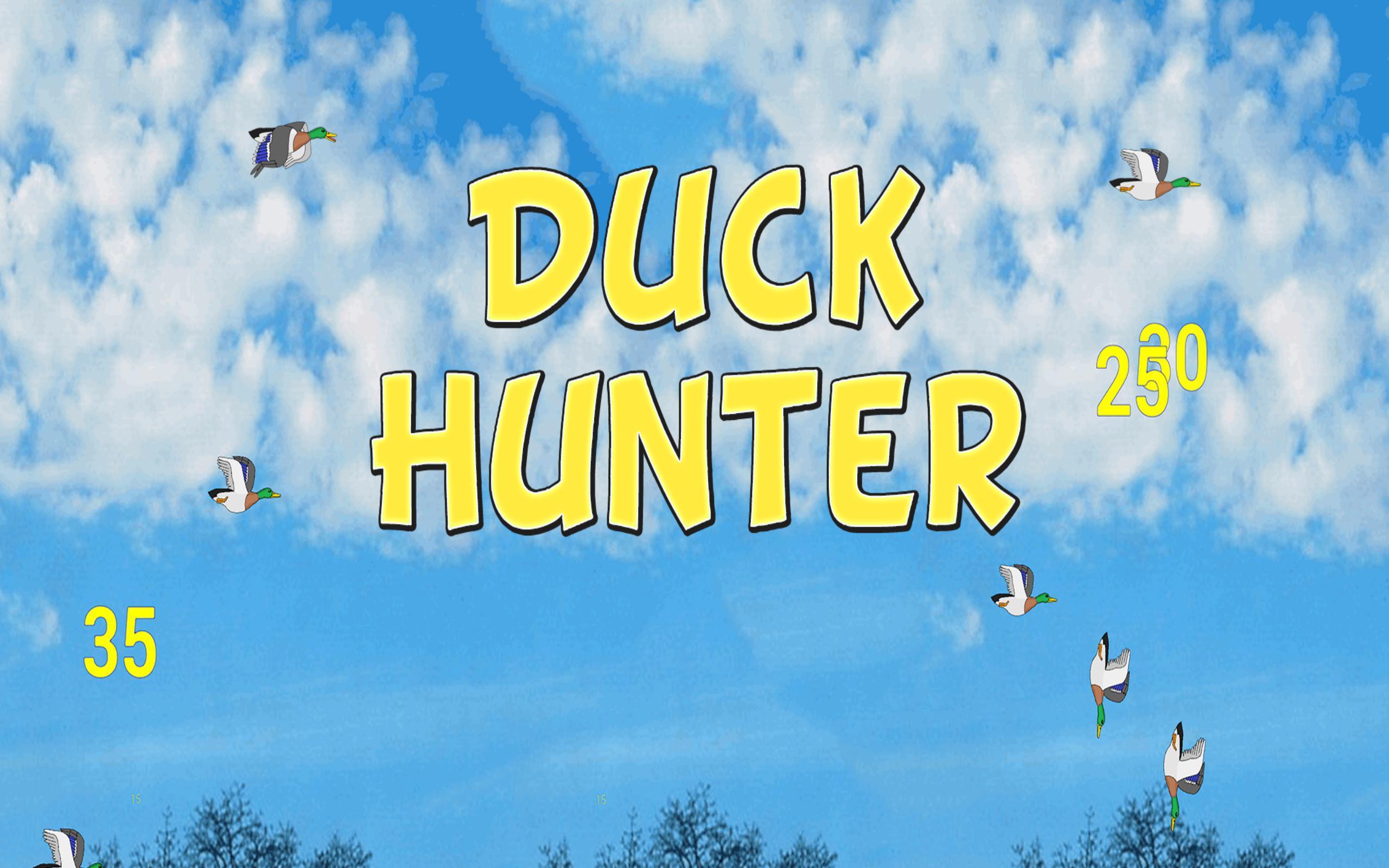 The Duck Hunter