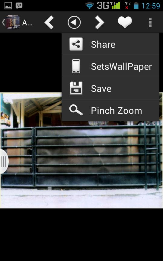 Desain Pagar dan Taman