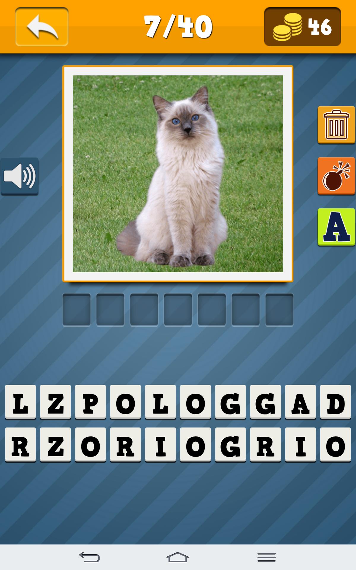 Cats Quiz
