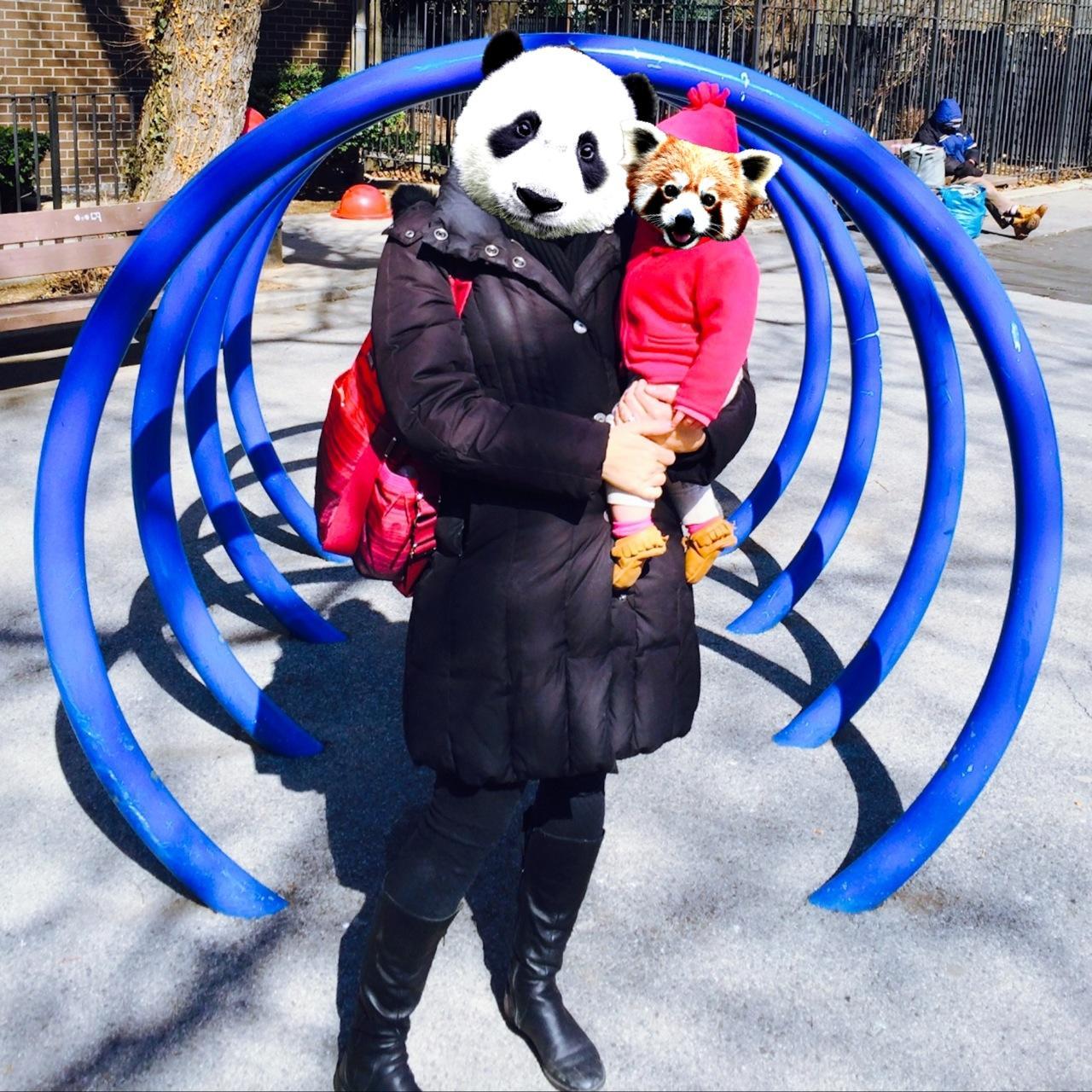 Changing face funny animals