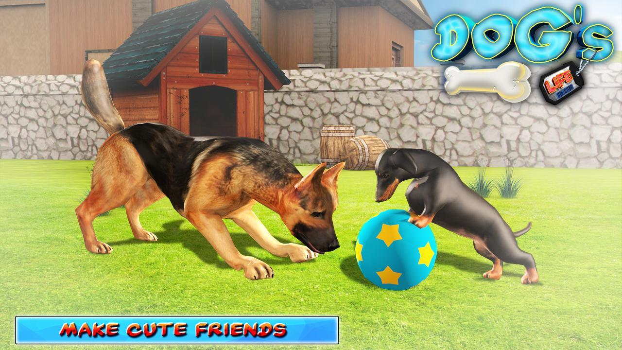 DOGS LIFE : Free Dog Games