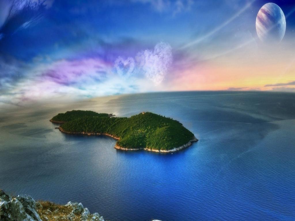 Ninja: The Hunt for Truth