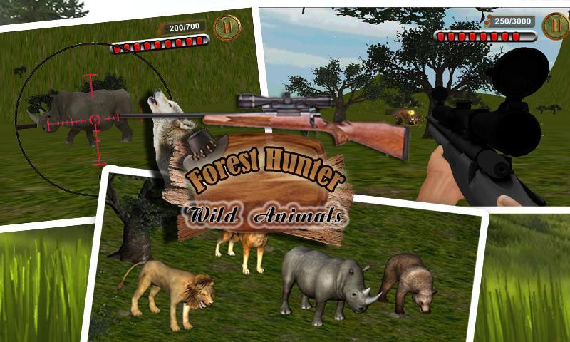 Forest Hunter: Wild Animals