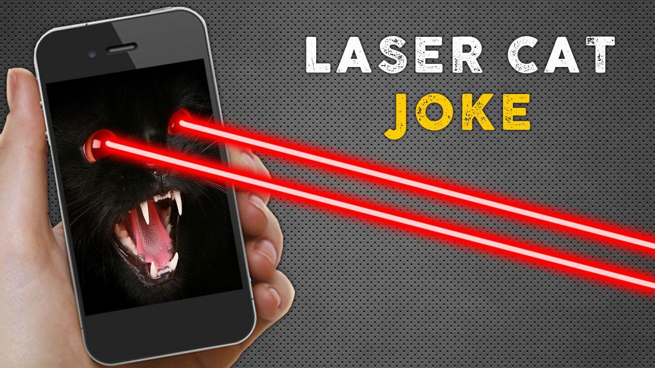 Laser Cat Joke