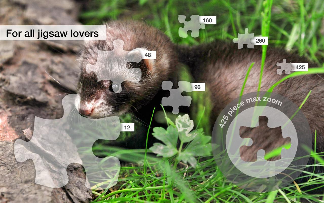 Jigsaw Puzzles: Cute Animals