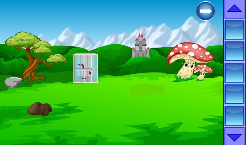 Flying Pony Escape from Witch