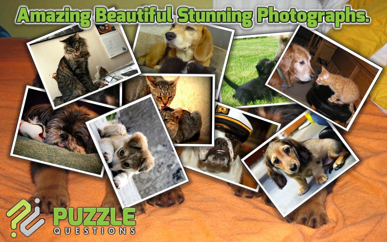 Free Dogs and Cats Puzzles